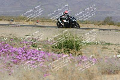 media/Feb-04-2023-SoCal Trackdays (Sat) [[8a776bf2c3]]/Turn 15 Inside Blooming (1050am)/